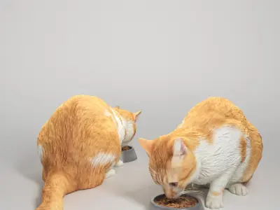 Cat eating food 12 Low-poly 3D model