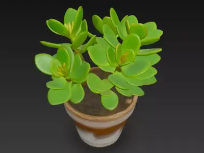 jade plant pot 3D model