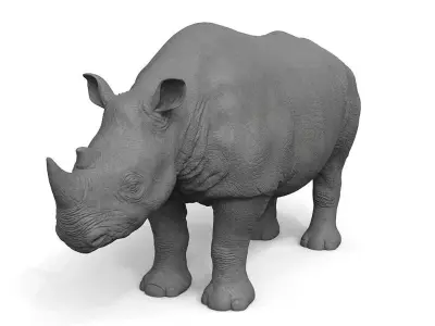High Res Rhino 3D model