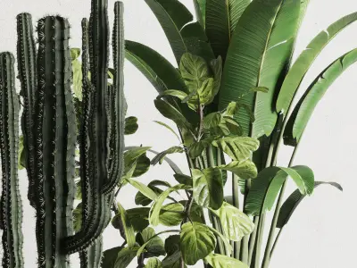 Indoor plant wooden and concrete dirt vase bax pot palm cactus 3D model