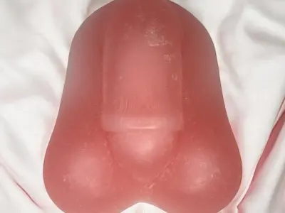 Mold anatomy penis 3D print model