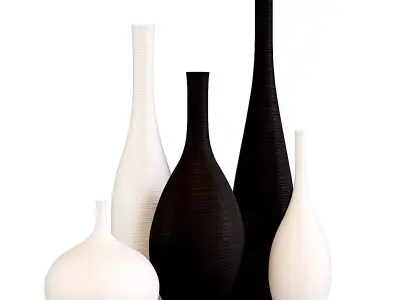 Maenas Artistic Vase Set 3D model