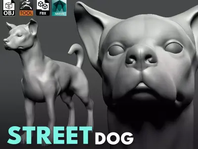 Street Dog  3D model
