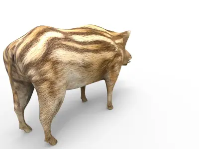 3D Boar Rigged 3D Models Low-poly 3D model