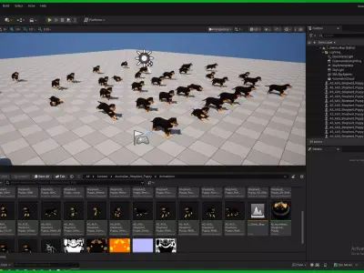 Australian Shepherd Puppy Dog Low-poly 3D model