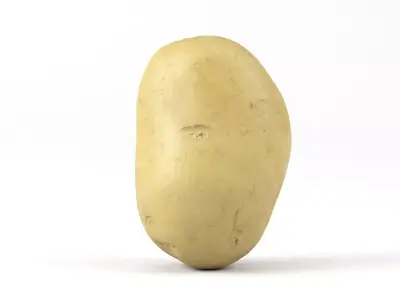 Photorealistic Potato 3D Scan 3D model
