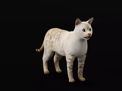 Snow Bengal Cat Low-poly 3D model