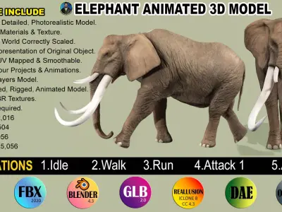 ELEPHANT RIGGED ANIMATED 5 Low-poly 3D model