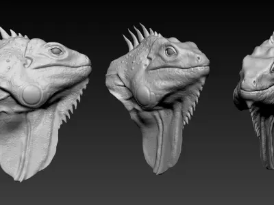 Iguana head 3D model