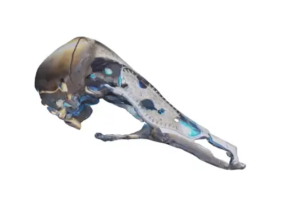 Robotic Hammer Free low-poly 3D model