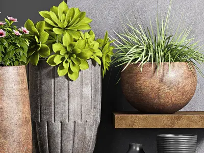 Decorative plant set-57 3D model