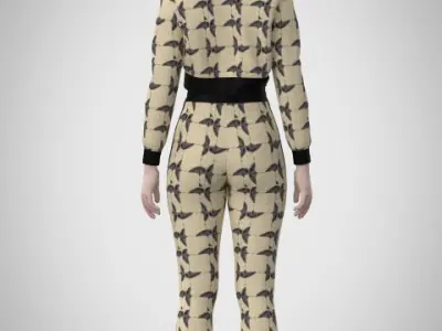 Track Suit with hoodie Two Color Variants Clo3D  3D model