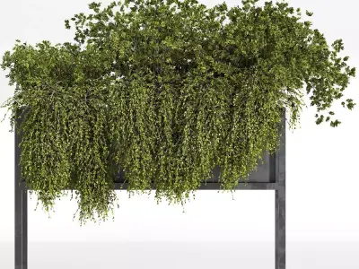 indoor plant set 07 3D model