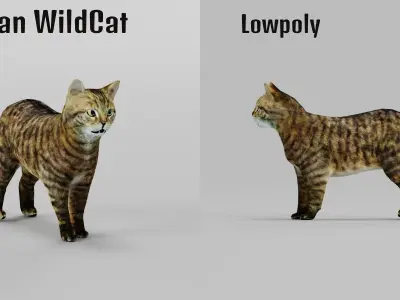 European Wildcat  Animal Low-poly 3D model