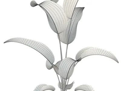 Plants collection 85 3D model