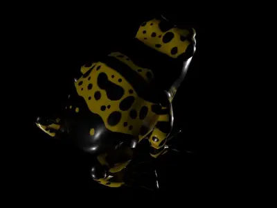 Poison Dart Frog Three colours 3D model
