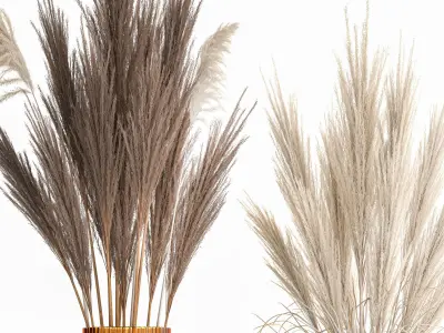 Minimalistic bouquet of dry pampas branches in a vase 316 3D model