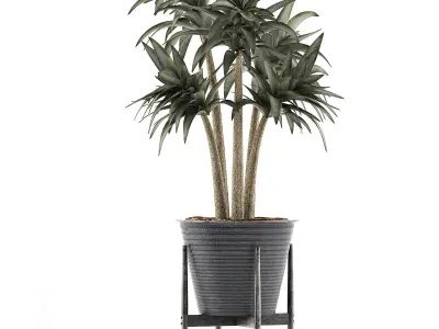 Plants Collection 117 3D model