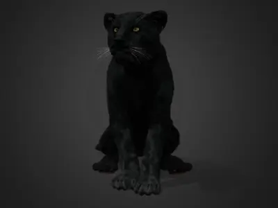 Panther Realistic Animated 3D model