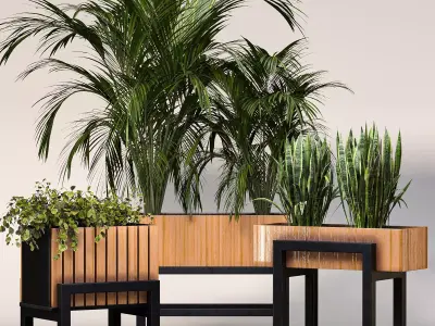 Plant Set 13 3D model