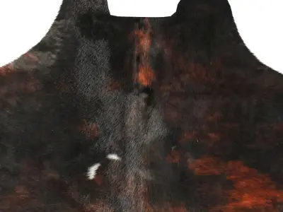 Tricolor Cowhide Rug B5893 3D model