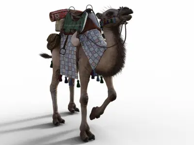 Camel With Package - Rigged 3D model