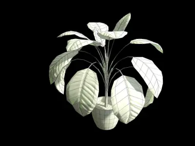 Houseplant Dieffenbachia Lowpoly model Low-poly 3D model
