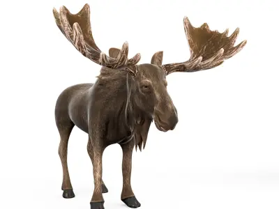 Moose cartoon 3D model