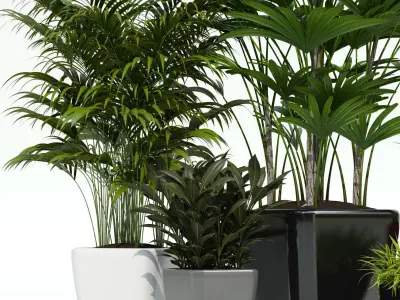 Lechuza QUADRO LS 3D model