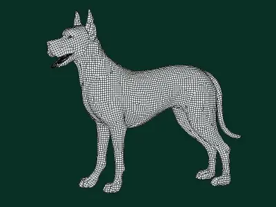 Great Dane Dog Breed  3D model