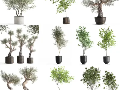 Collection of decorative trees 31 pieces 3D model
