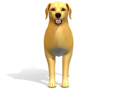 Cartoon Dog - Golden Retriever Low-poly 3D model