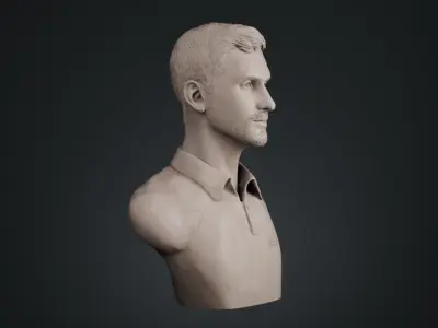 Novak Djokovic 3D print model