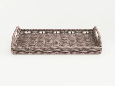 Wicker Tray 3D model
