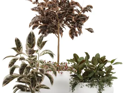 50 Plant Pack  Vol 2 3D model