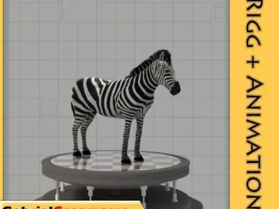 Zebra 3D model