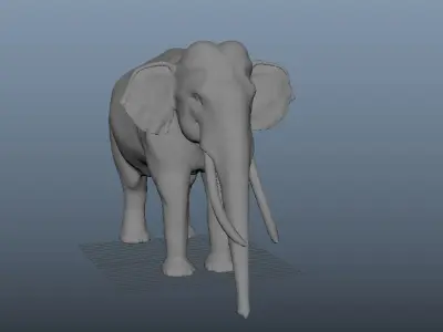 Elephant 3D model