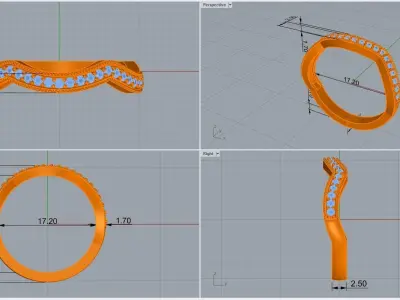 ring code 161 3D print model