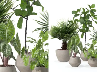 Plants collection 126 3D model