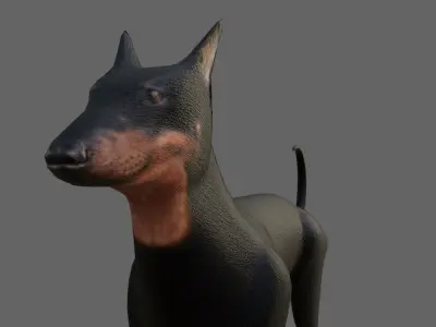 Dog Doberman - Low poly and High poly - Cachorro Low-poly 3D model