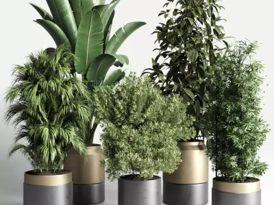  plant ficus rubbery ravenala plam bamboo metal dirt vase 3D model