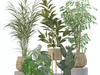 20 Photorealistic Flowers for Interiors - set 206 210 212 219 3D Model Collection