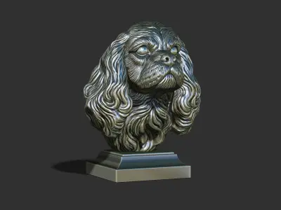 Spaniel Cavalier King Charles bust 3D print model