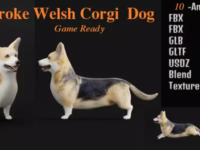 Pembroke Welsh Corgi Dog Low-poly 3D model