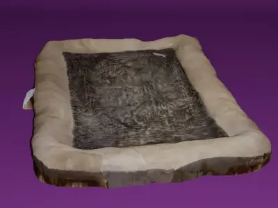 Dog Bed Photoscan Low-poly 3D model