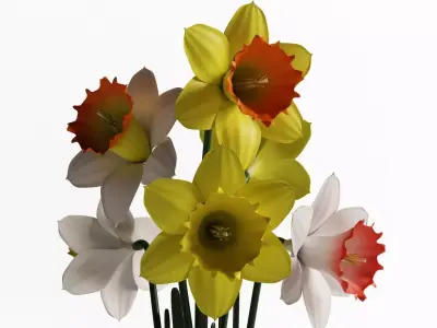 Daffodils in vase 3D model
