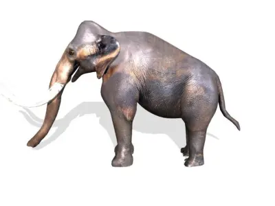 mammoth Low-poly 3D model