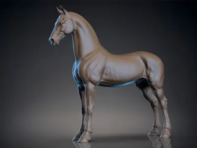 Horse Friesian - TPose 3D model