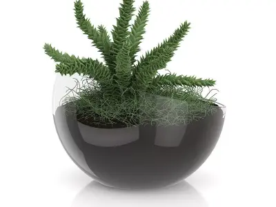Plant in Sphere Glass Pot 3D model