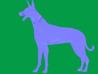 Ibizan Hound Dig 3D model